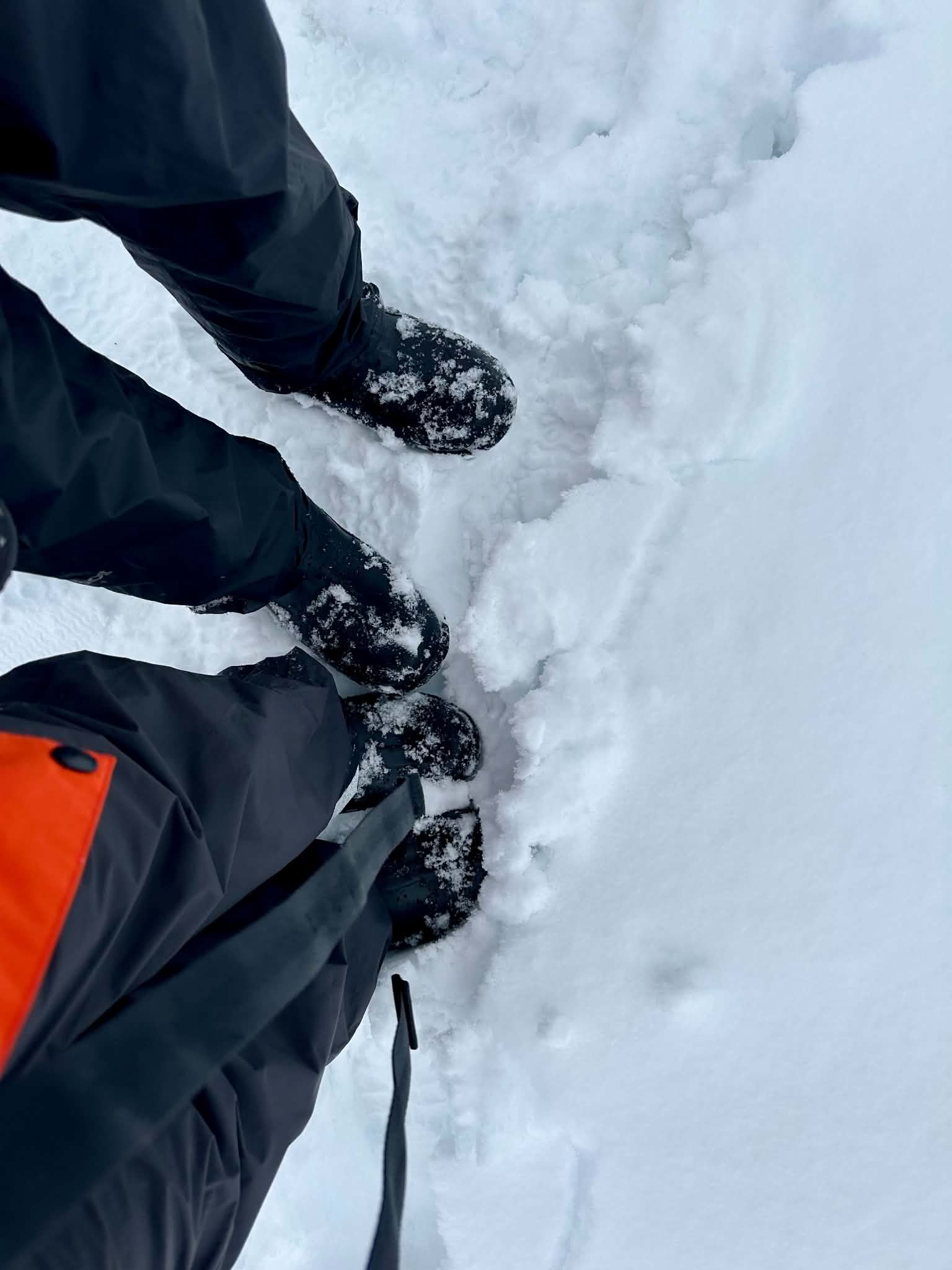 Sheila Gallant-Halloran and her husband Bill show off their boots while on the Antarctica continent, off a Lindblad Expeditions NG Endurance cruise.